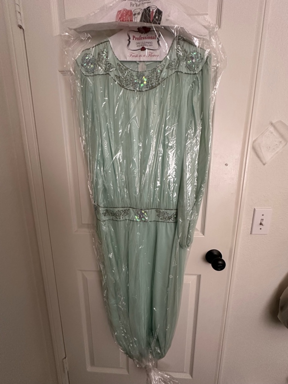 Rimini Light Mint Green Beaded Maxi Vintage Silk Dress Size 10